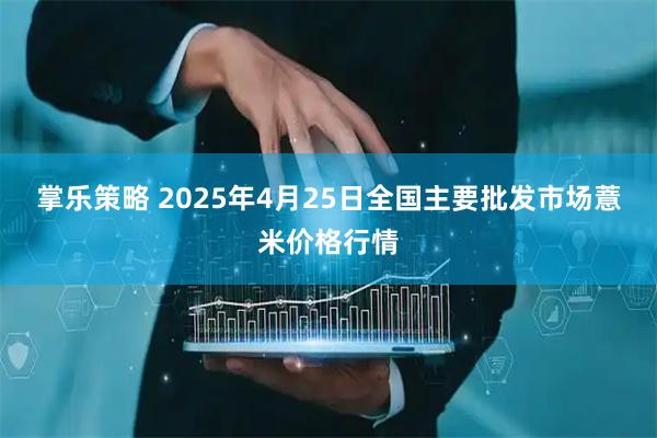 掌乐策略 2025年4月25日全国主要批发市场薏米价格行情