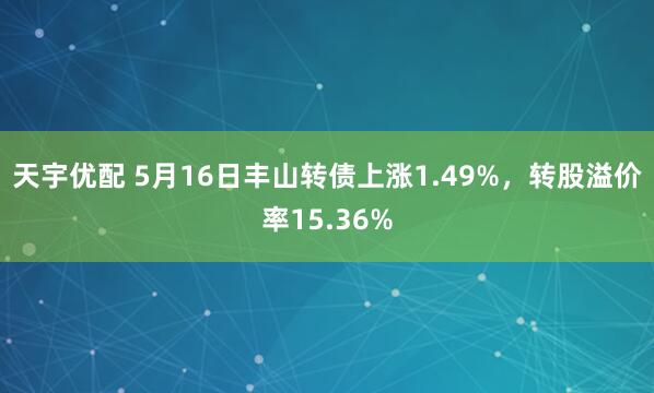 天宇优配 5月16日丰山转债上涨1.49%，转股溢价率15.36%