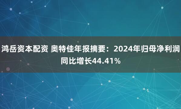 鸿岳资本配资 奥特佳年报摘要：2024年归母净利润同比增长44.41%