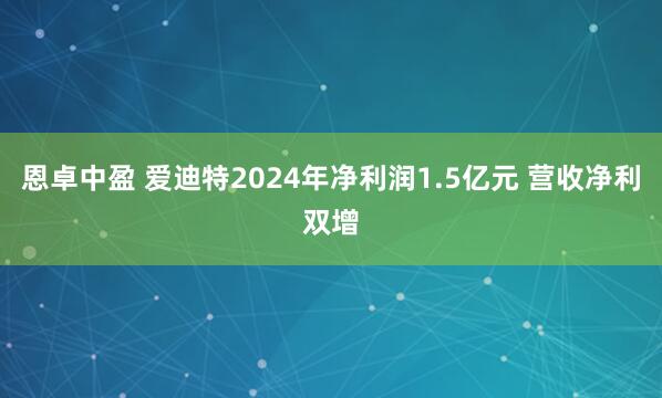 恩卓中盈 爱迪特2024年净利润1.5亿元 营收净利双增