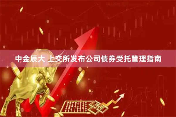 中金辰大 上交所发布公司债券受托管理指南