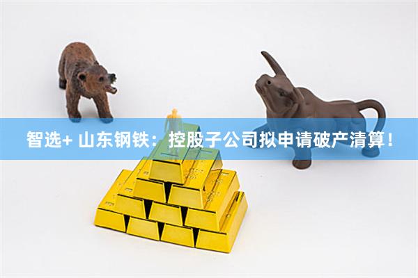 智选+ 山东钢铁：控股子公司拟申请破产清算！